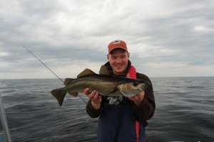 Fliege Pollack...jpg