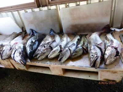 P1010837.webp P1010837.webp