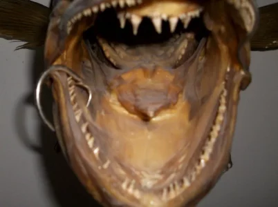 IMGP4642.webp IMGP4642.webp