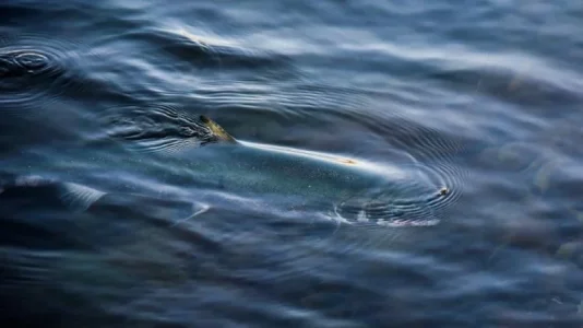 2 jetz ruhig bleiben-1.webp