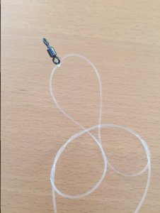 IMG_2918.JPG IMG_2918.JPG