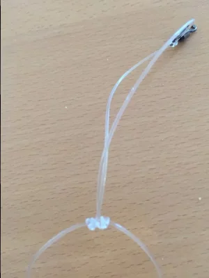 IMG_2925.webp IMG_2925.webp