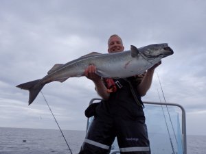 P8070059.JPG P8070059.JPG