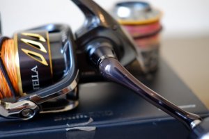 FUJI3716.JPG