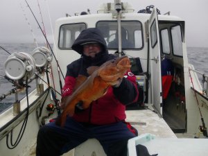 k-800xxIMG_0006 der erste gute Dorsch.JPG