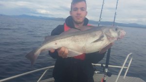 schöner Schelli.JPG