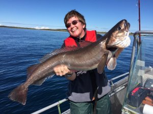 Seehecht.JPG Seehecht.JPG