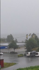immer noch Regen.jpg