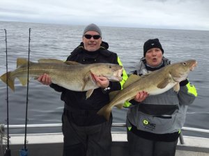 IMG-20160907-WA0001.jpg IMG-20160907-WA0001.jpg