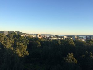 IMG_4989.JPG IMG_4989.JPG