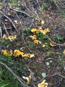 IMG_5037.JPG IMG_5037.JPG