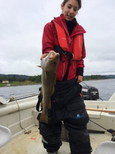 IMG_5016.JPG IMG_5016.JPG