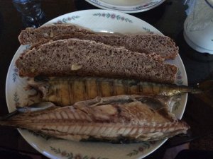 IMG_5048.JPG IMG_5048.JPG