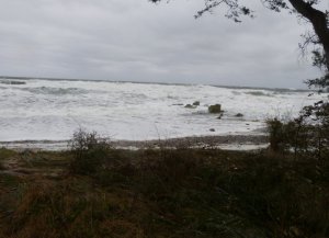 Waten für Fortgeschrittene.JPG