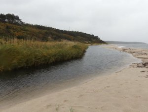 Mündung Blykobbe Au.JPG