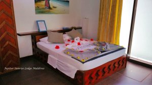 IMG-20161002-WA0004.jpg IMG-20161002-WA0004.jpg