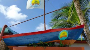 IMG-20161002-WA0011.jpg IMG-20161002-WA0011.jpg