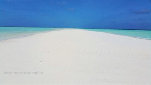 IMG-20161005-WA0002.jpg IMG-20161005-WA0002.jpg