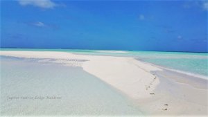 IMG-20161005-WA0004.jpg IMG-20161005-WA0004.jpg