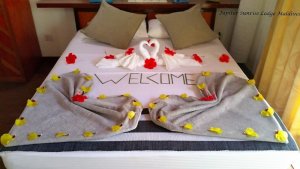 IMG-20161002-WA0006.jpg IMG-20161002-WA0006.jpg