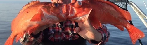 IMG_0072.webp IMG_0072.webp