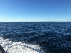 Wetter2.jpeg Wetter2.jpeg