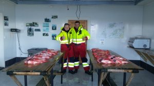 20160915_155217.jpg 20160915_155217.jpg