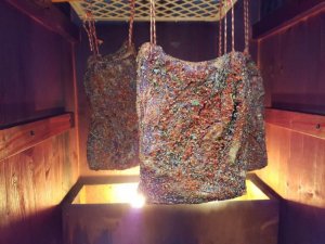 20161108_131744.JPG 20161108_131744.JPG