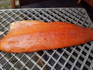 20161108_131755.JPG 20161108_131755.JPG