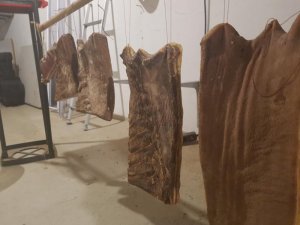 20161006_112700.JPG 20161006_112700.JPG