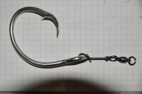 DSC_0001.webp DSC_0001.webp