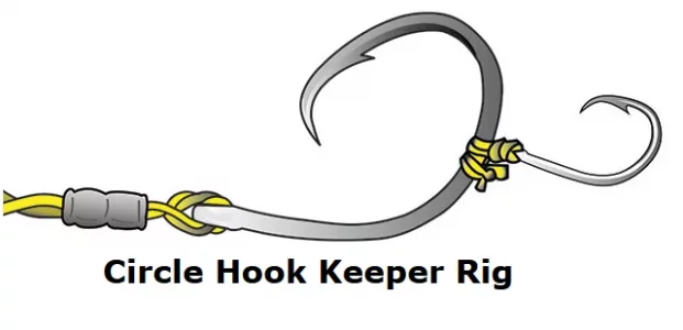 circle hook keeper rig.webp