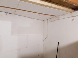 20170107_135145.JPG 20170107_135145.JPG