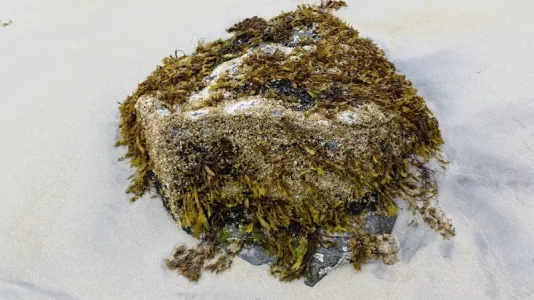 20150727_141319.webp 20150727_141319.webp