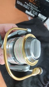 DSC_8797.JPG