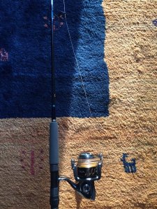 6-swab 1.JPG 6-swab 1.JPG