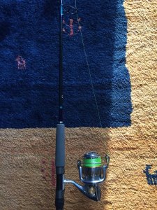 6-swab 2.JPG 6-swab 2.JPG