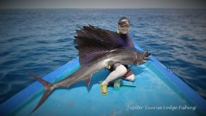 16112927_1194580603930500_1718061471823770089_o (1).jpg