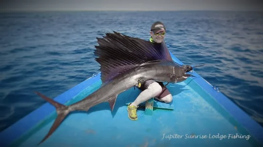 16112927_1194580603930500_1718061471823770089_o (1).webp