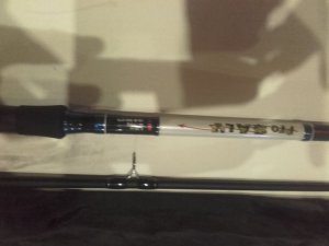 20170203_154521.jpg