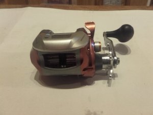 20170203_152751.jpg