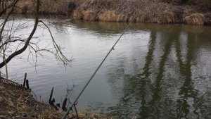 20170204_135309.jpg