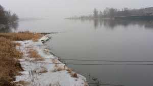 IMG-20170205-WA0009.jpg