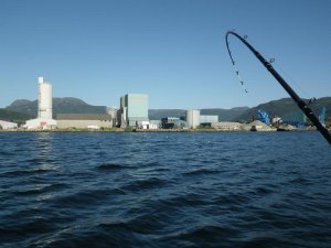 rigger asphaltwerk.jpg