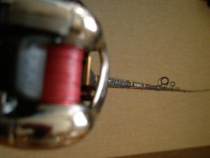 Kopie von P1011706.jpg