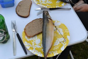 Norwegen 2012 060.jpg