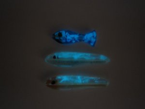 Glaspilker 5 014.jpg