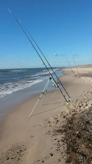 20161003_155654.webp 20161003_155654.webp