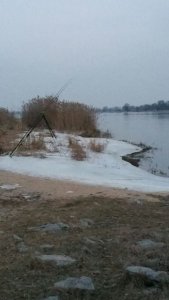 IMG-20170209-WA0000.jpg IMG-20170209-WA0000.jpg