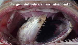 Coverbild Roms 2015.PNG